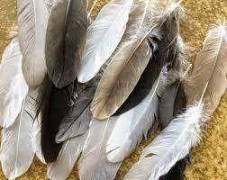 Plumas de pato teñidas de primera calidad, artesanías lavadas con patrón natural para accesorios de ropa, venta directa al por mayor de Bangladesh - Product Image 2