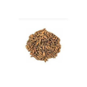 Top Selling 100% Pure Natural Pine Nuts Good Quality AA Grade Raw Food Organic Cultivation for <b>Biscuit</b> Fried Snacks - Product Image 4