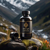 Capsules de poudre de Shilajit de l'Himalaya séchées naturellement, 100% pure acide fulvique naturel, compléments alimentaires à base de plantes, soutien immunitaire pour adultes, 30 gélules