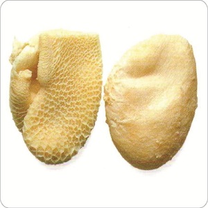 Omaso y Tripa de Res Congelados a Granel de Calidad, Estómago de Vaca Limpio, Proceso LQF, Nutritivo - Product Image 1