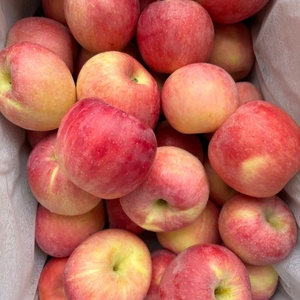 Manzanas Fuji Rojas de Primera Calidad AA, Frescas, Crujientes y Dulces, a Granel en Caja para Importación - Product Image 3