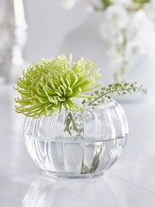 Florero de vidrio minimalista contemporáneo con diseño cónico, lo mejor para una presentación floral elegante en hogares y espacios comerciales - Product Image 4