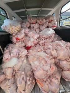 Muslos de pollo halal congelados premium en venta, muslos de pollo congelados en acero inoxidable - Product Image 2