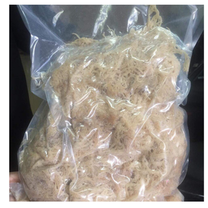 Algues Cottonii séchées salées, produit marin naturel de haute qualité du Vietnam pour l'exportation - Product Image 1