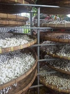 รังไหมบริสุทธิ์วัตถุดิบผ้าฝ้ายสร้างเตียงนุ่มสำหรับการนอนหลับสบาย - Product Image 5