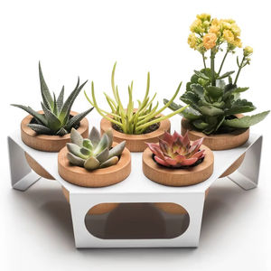 Modern Wooden <b>Succulent</b> <b>Planter</b> Wood Plant Pot White Metal Stand Home Office Decor Plant Holder Desk Plant Display European - Product Image 1