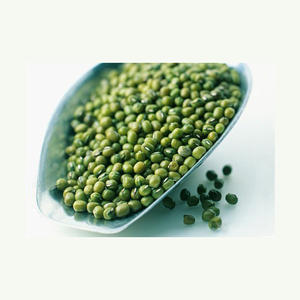 Vente en gros directe du meilleur fournisseur Haricots mungo verts biologiques de haute qualité style Vigna Sacs en vrac de 25kg Prix - Product Image 4