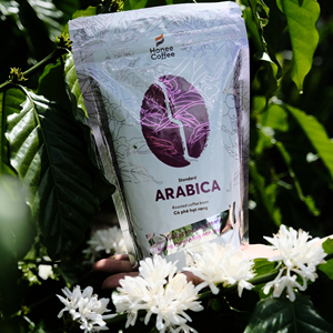 Marca HONEE, granos de café Arábica tostados de alta calidad de 250G por bolsa, bebida hecha en Vietnam de tueste medio de Ban Me Gold Co Ltd - Product Image 4