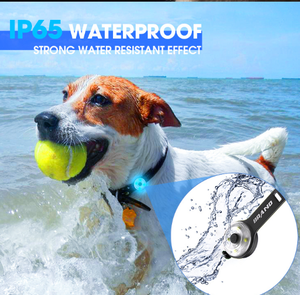 Luz LED para mascotas: se puede agregar al collar - Product Image 2