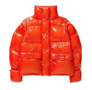 Veste d'hiver épaisse en duvet matelassé pour homme, coupe régulière, imperméable, grande taille, fermeture éclair, coque brillante, mode personnalisée - Product Image 3