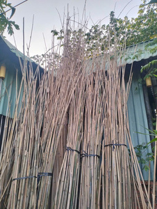 Premium Bamboo <b>Straws</b> Set <b>Reusable</b> Biodegradable Natural Drinking <b>Straws</b> with Nylon Brush Wholesale Gift Box - Product Image 3