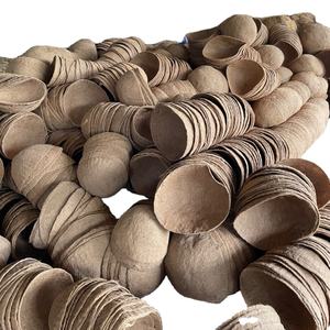 Pot de fleurs en Fiber de noix de coco, écologique pour la décoration de jardin domestique - Product Image 3