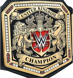 Meilleure qualité Root Fight Gear Wrestling Championship Ceintures personnalisées en métal respirant avec couleur et logo personnalisés - Product Image 6