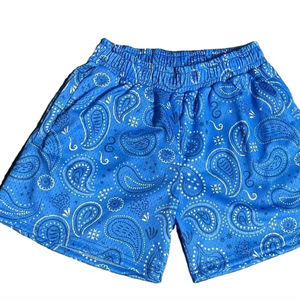 Shorts athlétiques pour hommes Anime Mesh Shorts Comic Gym Workout Sports Pants Anime Shorts - Product Image 1