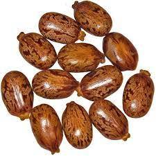 Semillas de Ricino de Alta Calidad, Aceite de Ricino Natural en Bolsa de 25 kg para Consumo Humano, Económico - Product Image 2