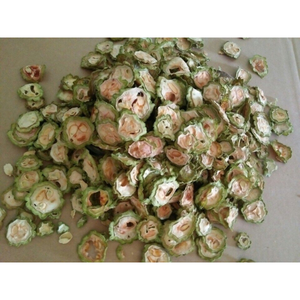 Bitter melon dried chips suitable for herbal mixtures organic detox drinks and <b>food</b> <b>additive</b> applications in bulk - Product Image 6
