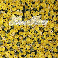 Toile de fond personnalisée 3D enroulable pour mur de fleurs artificielles en soie de chrysanthème jaune