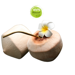 Ingrediente fresco de cáscara de coco pelado con diamante para barras energéticas - Product Image 5