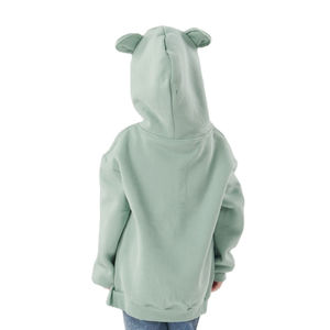 Venta al por mayor Casual sólido patrón Sudadera con capucha niños Unisex manga larga con capucha cuello personalizable invierno Digital 100% algodón bolsillo - Product Image 2