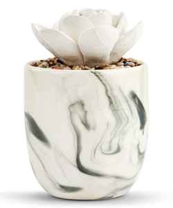 POTS DE FLEURS - Product Image 2