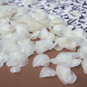 ESCALAS DE PESCADO PREMIUM - FUENTE NATURAL DE COLÁGENO Y GELATINA - Product Image 2