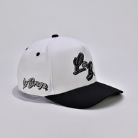 Gorras Snapback de Dos Tonos al por Mayor para Hombre y Mujer, Gorra de Béisbol Trucker Moderna y a la Moda, con Logotipo Personalizado Impreso, Cómoda, Duradera y Casual