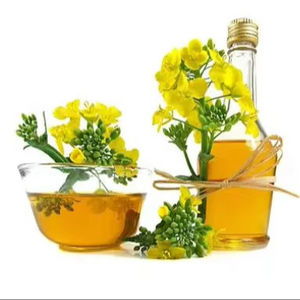 Huile de colza non-OGM de qualité export |   Fournisseur en gros de réservoirs flexibles d'huile de cuisson saine pour le cœur, riche en oméga-3, fabriquée en Afrique - Product Image 1