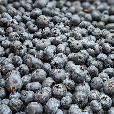 Arándanos Congelados para Smoothies y Repostería, Grado Alimenticio, IQF, Suministro a Granel, Enteros, Maduros y Ricos en Antioxidantes, Calidad de Exportación - Product Image 4