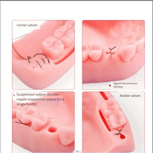 Modelo de Simulación de Entrenamiento Quirúrgico Dental, Almohadilla de Sutura Dental con Dientes, Kit de Sutura Dental Médico de Alta Calidad - Product Image 2