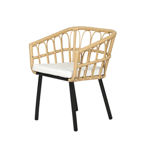 FAUTEUIL À MANGER AVEC COUSSIN (LCO/075/001) - Product Image 2