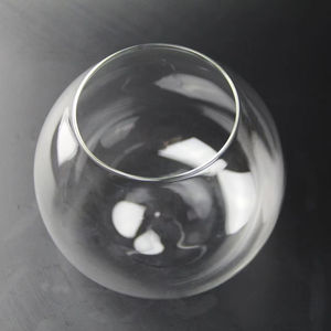 Terrarium en verre pour plantes avec base en bois, terrarium ventilé pour plantes de bureau, 12 cm, bricolage, aquarium rond en verre - Product Image 1