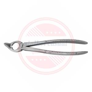 Forceps dentaires incurvés à vendre/Forceps d'extraction de dents dentaires d'équipement dentaire de haute qualité - Product Image 5