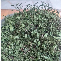 Feuilles de pissenlit séchées de qualité supérieure | Herbe naturelle pour le thé et la désintoxication | Exportation en vrac
