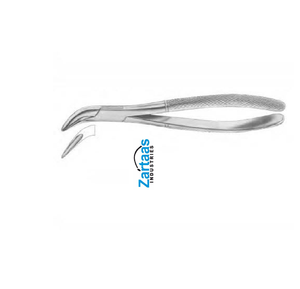Fórceps de Extracción Dental de Acero Inoxidable de Alta Calidad WITZEL para Raíces Inferiores fig 224 Instrumentos Dentales - Product Image 4