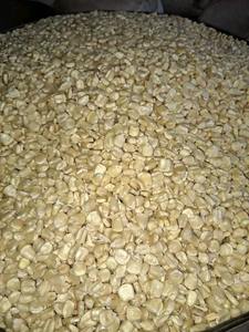 Maíz blanco de grado A, precio al por mayor, maíz blanco de alta calidad, proveedor de alimentación animal - Product Image 6