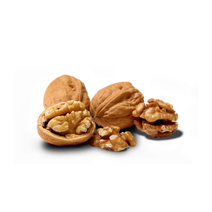 Nueces de Alta Calidad Disponibles para Suministro al por Mayor con Envío Rápido - Product Image 3