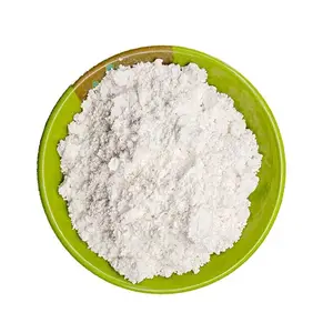 Utrafine CaC03 백색 석회암 탄산 칼슘 코팅 분말 베트남 제조 업체