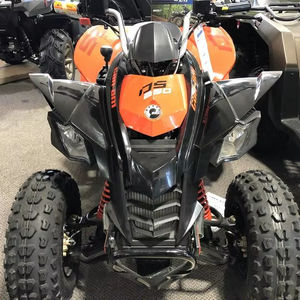 ALTO RENDIMIENTO 2024/2025 -- = Cannn-Am DS 250 con puerta avanzada-= A-= Puerta personalizada - Product Image 1