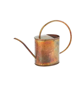 Regadera de Metal de estilo nórdico, regadera/latas de plantas de jardín para el hogar con revestimiento de polvo de tendencia caliente hechas en la India - Product Image 5