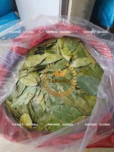 Feuilles de corossol séchées de qualité supérieure 100% feuilles de Graviola à base de plantes annona muricata naturelles pour le thé du Vietnam - Product Image 3