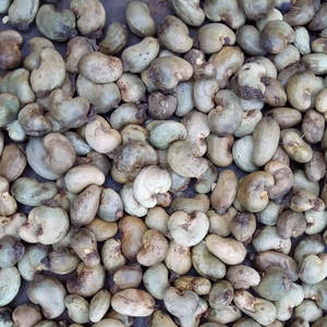 Noix de cajou crues de qualité supérieure Noix de cajou blanches entières sans coque OEM Emballage de marque personnalisé scellé sous vide en vrac prix de gros - Product Image 5