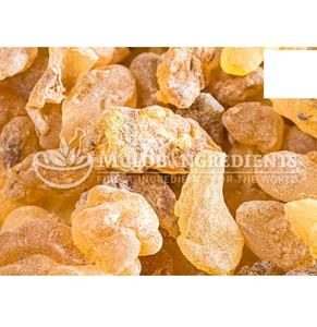 Extracto Premium de Boswellia Carterii, Soporte Herbal Natural para el Bienestar Diario - Product Image 3