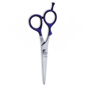 Ciseaux de salon de beauté avec embout à vis amovible, manche bleu revêtu, ciseaux de coupe de cheveux de salon, lame droite en acier métallique - Product Image 5