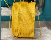 Nylon personnalisable 3 brins 4 brins torsadés en polypropylène pêche marine corde UHMWPE & PE matériel avec logo d'application de sécurité