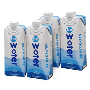 Be High Standard Quality Be Water Drinking Water 500ml X 12 A Natural Way To Hydrate And Enjoy The Clean