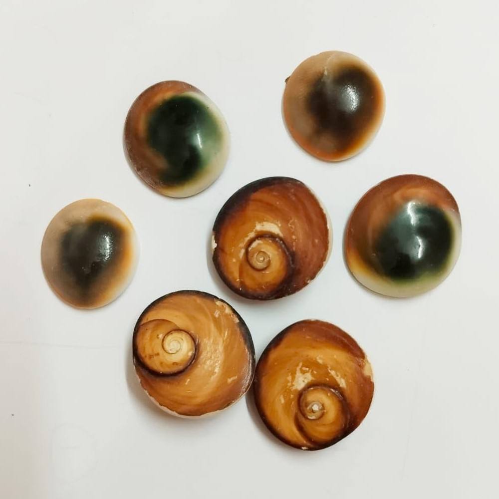 ธรรมชาติ