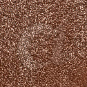 Chaqueta de Invierno de Cuero Genuino para Mujer, Cómoda, Transpirable, Impermeable y Resistente al Viento, Marca Privada, Ropa de Moda - Product Image 6