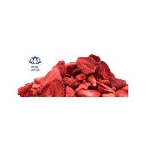 Fresas secas de Vietnam, alta calidad - Product Image 3