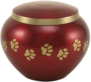 Urne funéraire pour animaux de compagnie Odyssey en laiton massif avec empreinte de patte en argent de couleur blanche perle - Product Image 3