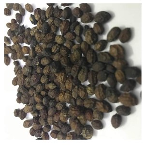 Semillas de papaya secas de Vietnam, semillas de desintoxicación naturales para cápsulas o polvo de hierbas - Product Image 6